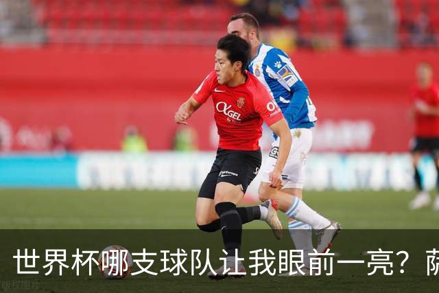 世界杯哪支球队让我眼前一亮？萨内蒂：日本和摩洛哥绝对是代表